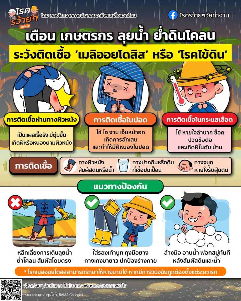 หน้าฝนมาแล้ว เตือน เกษตรกร ลุยน้ำ ย่ำดินโค